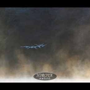 01｢やすらぎのとき｣福島県芸術文化団体連合会長賞