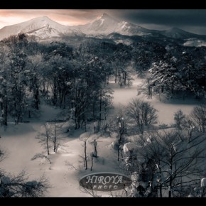 02｢厳冬の目覚め｣福島県議会議長賞