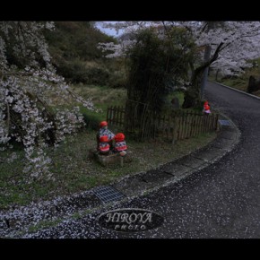 06「春惜しむ」二本松市教育委員会教育長賞