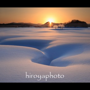福島市写真美術館賞　「雪面の叫び」