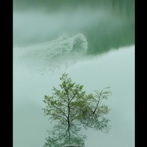 12[緑繋ぐ」相馬市教育委員会教育長賞