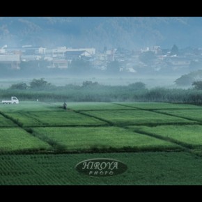 15「朝仕事」公益財団法人福島県文化振興財団賞