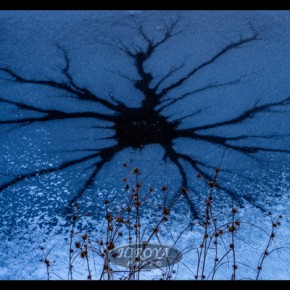 18「冬の造形」福島民友新聞社賞