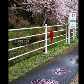 21「春の忘れ物」テレビユー福島賞