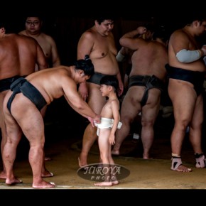 23「小さな力士」福島トヨタ株式会社クラウン賞