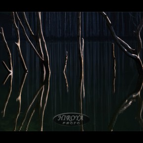 30「線上のアリア」福島県写真連盟賞