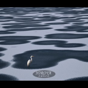 33[初雪の頃」福島県写真連盟特別賞