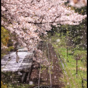 34「春風のプロローグ」福島県写真連盟特別賞