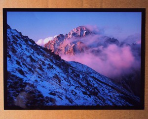 OLYMPUS DIGITAL CAMERA