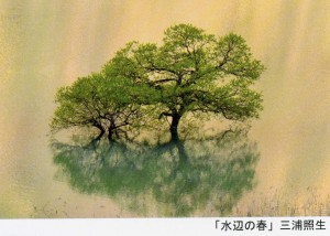 jpn2017